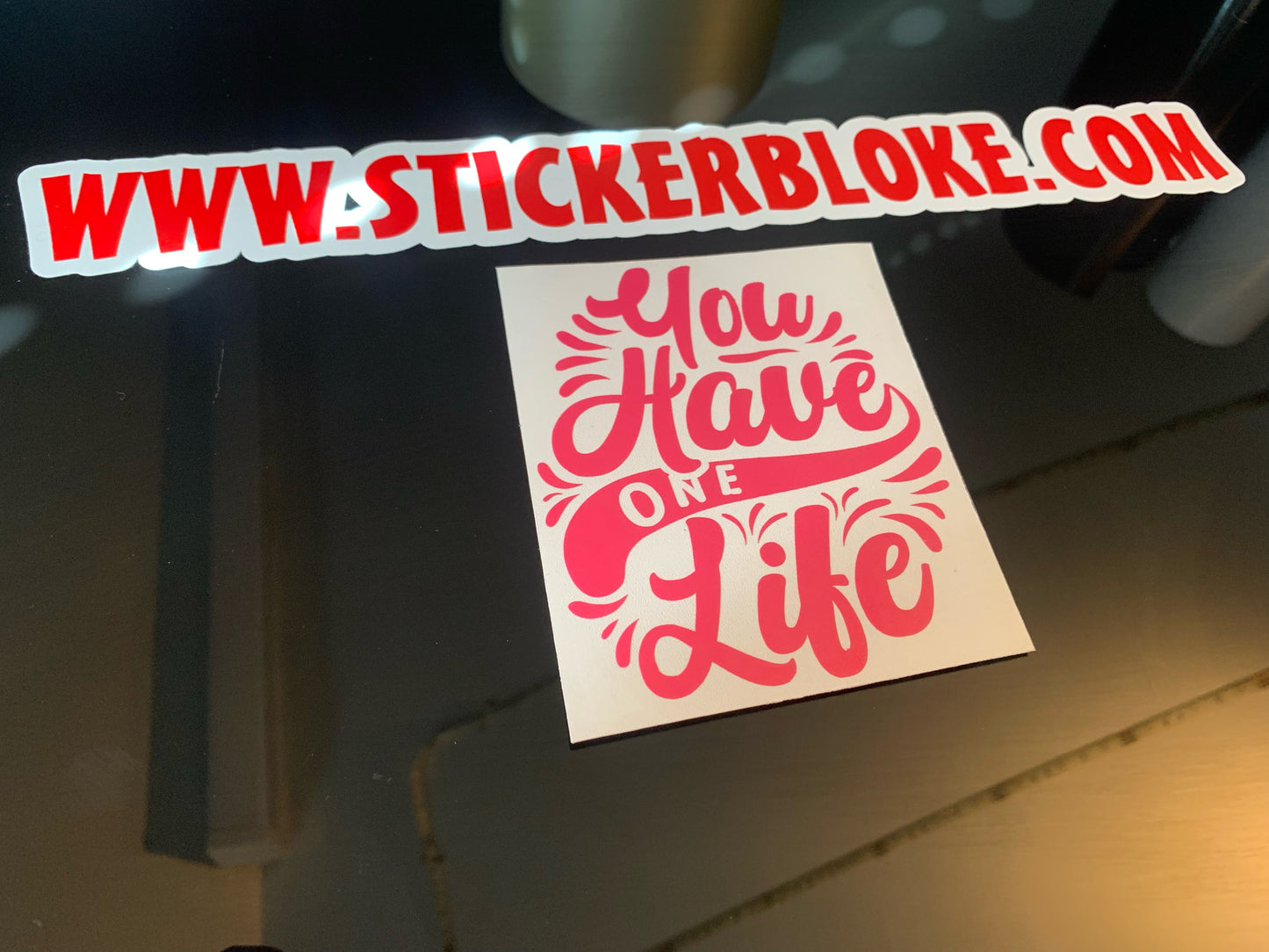 YOU HAVE ONE LIFE STICKER