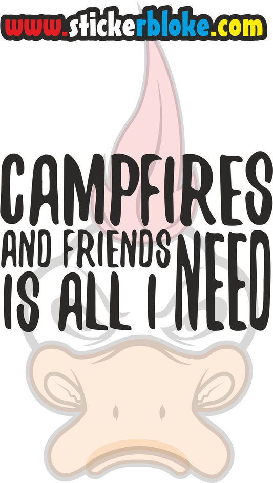 CAMPFIRES AND FRIENDS IS ALL I NEED