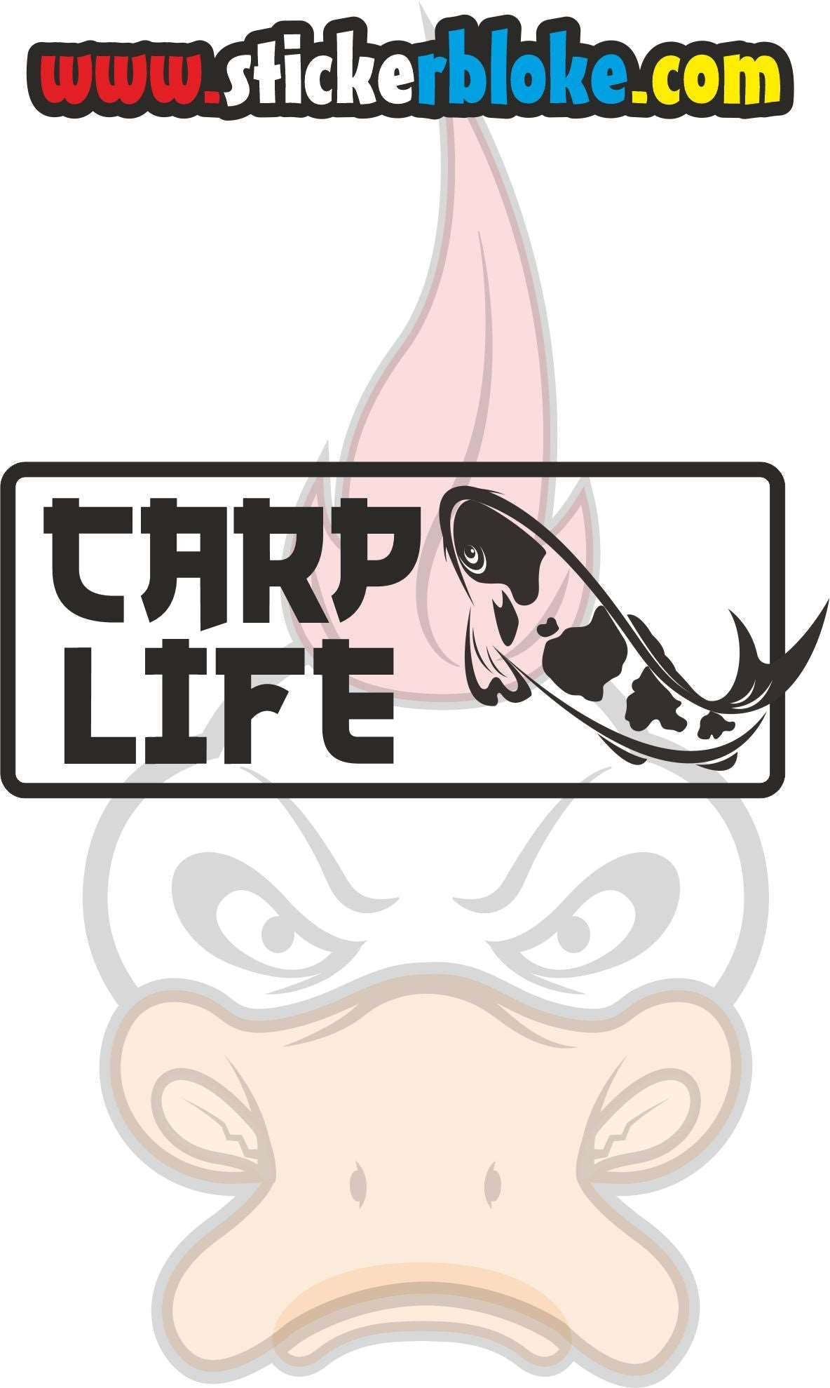 CARP LIFE