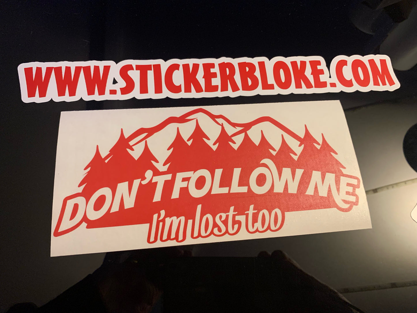 DONT FOLLOW ME IM LOST TOO STICKER