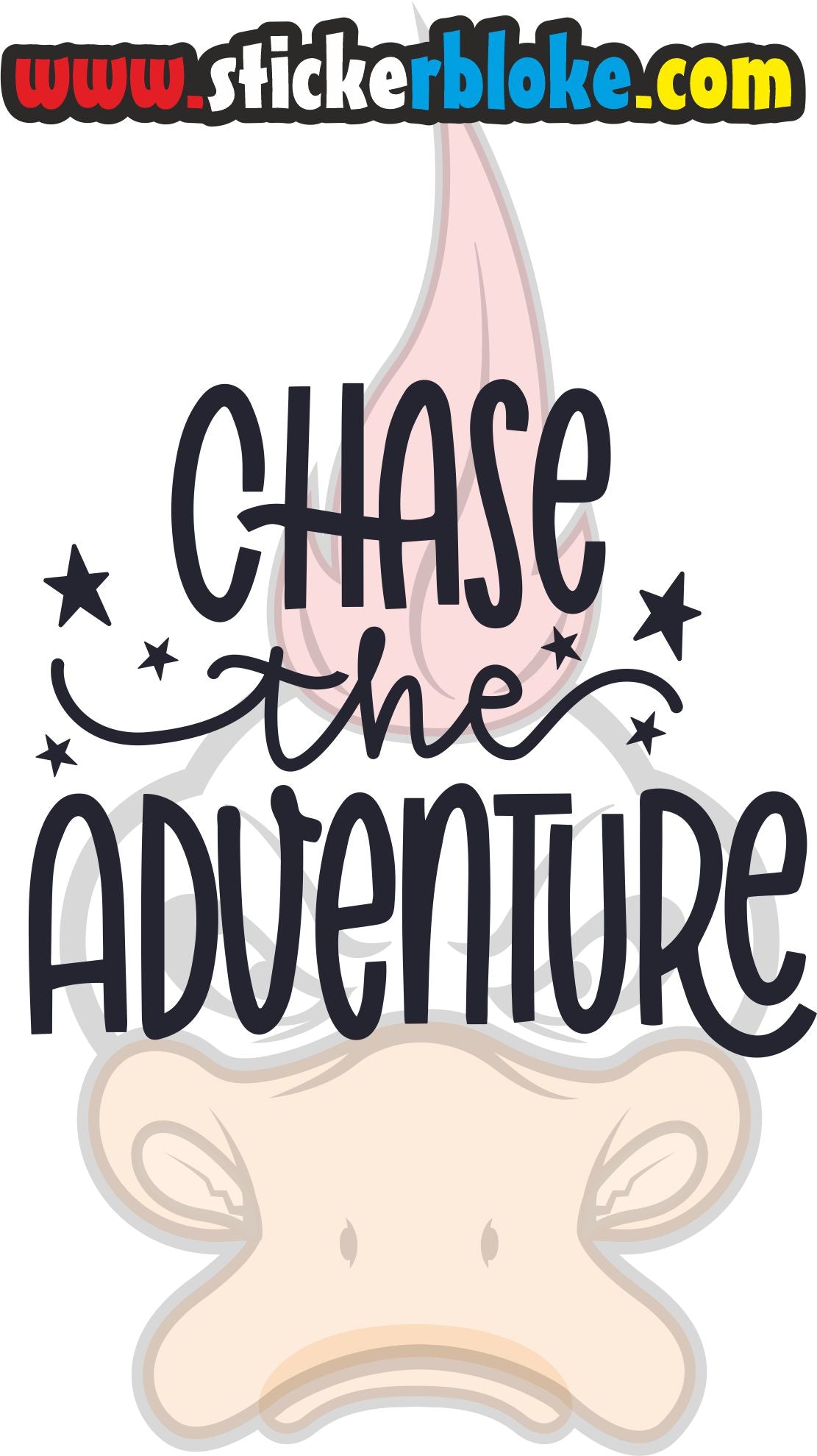 CHASE THE ADVENTURE STICKER