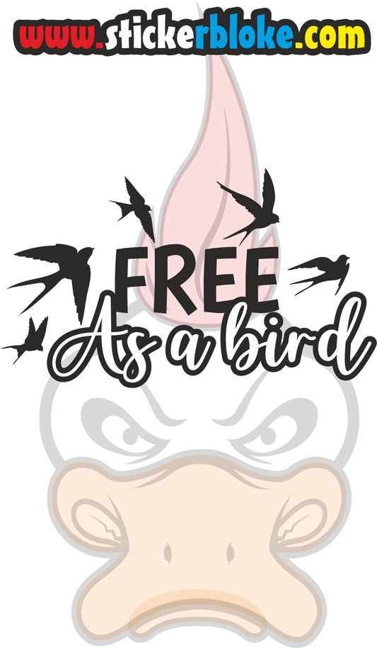 FREE AS A BIRD