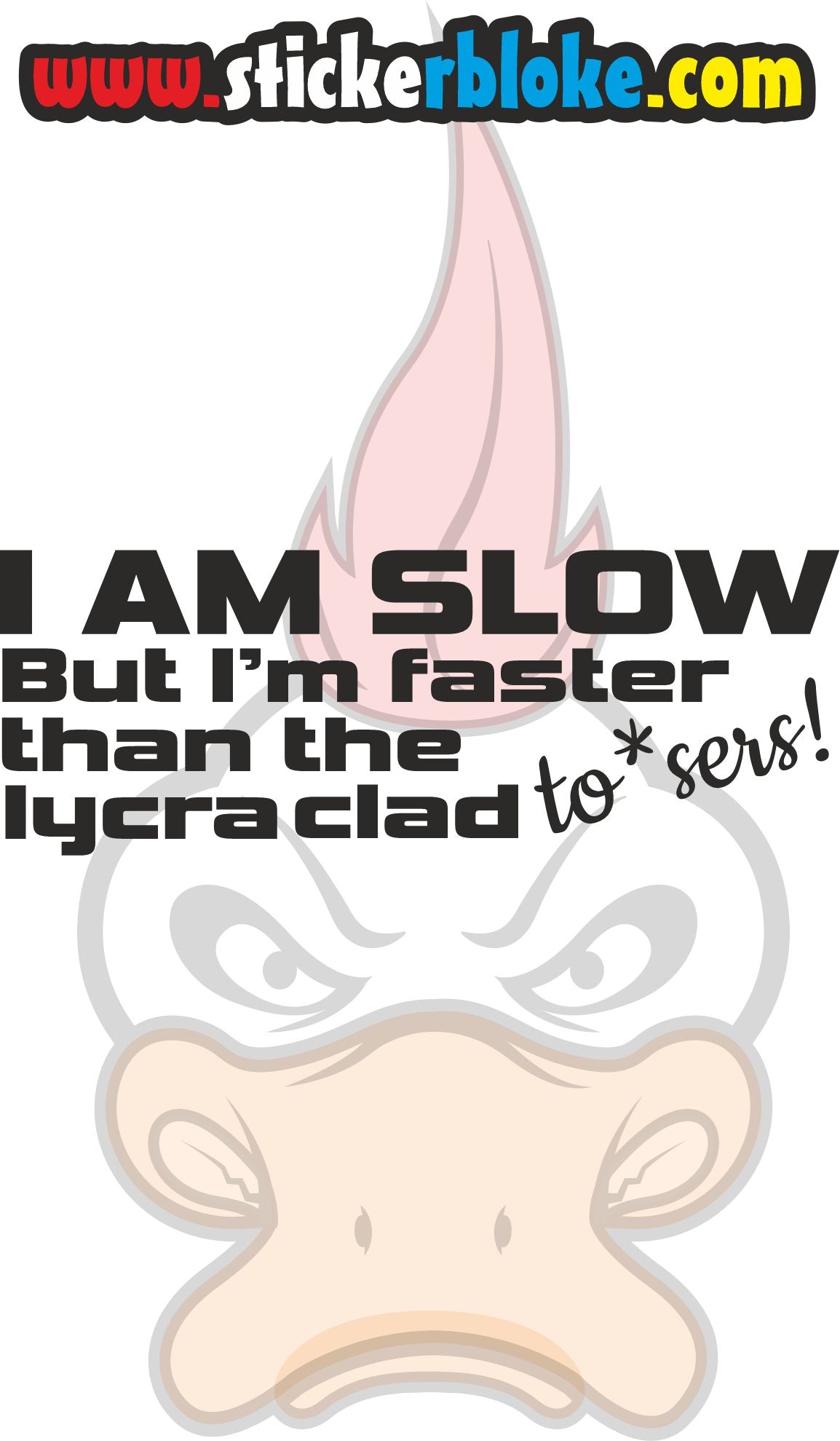 I AM SLOW BUT IM FASTER THAN THE LYCRA CLAD TOS*ERS