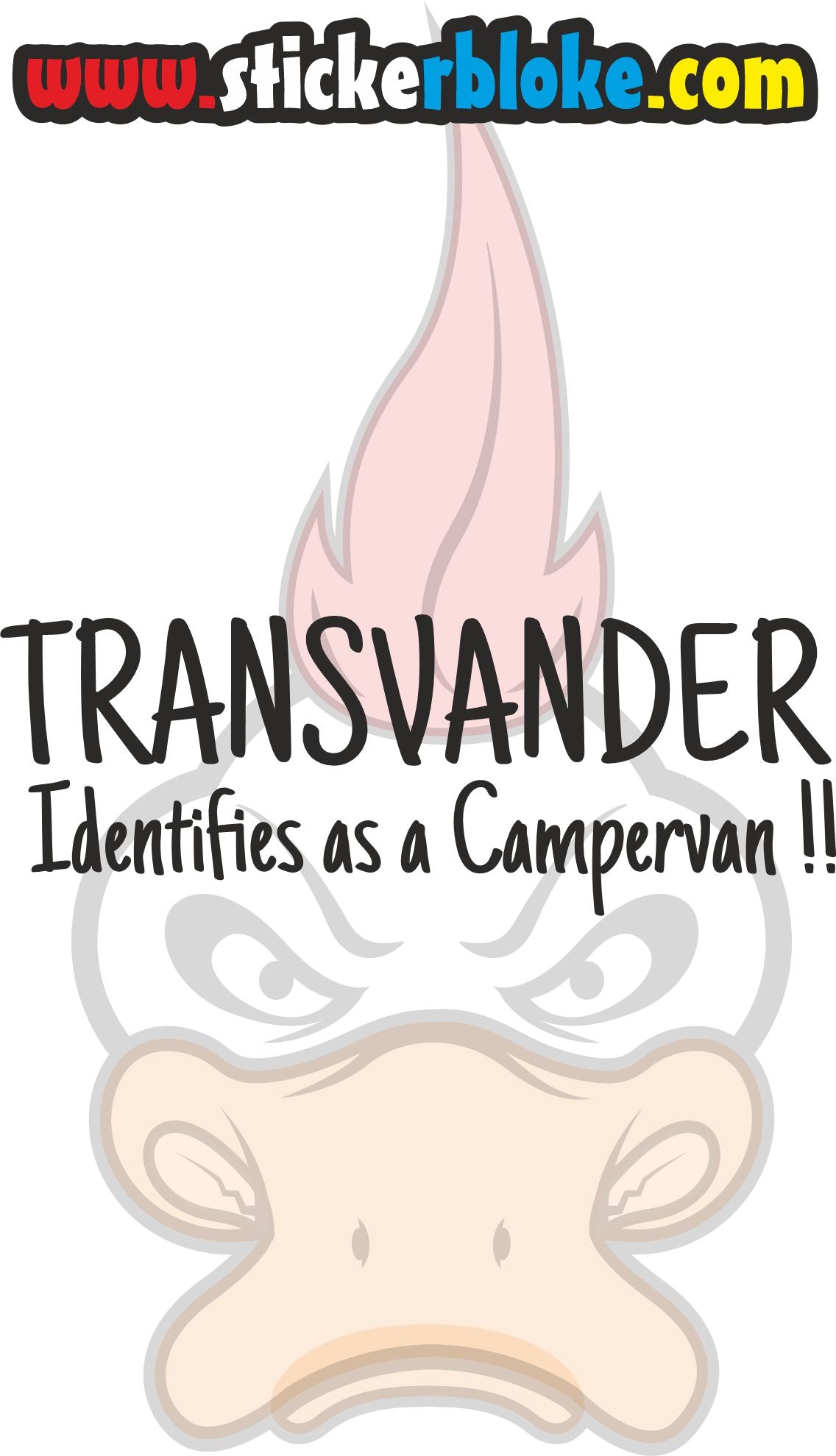 TRANSVANDER IDENTIFIES AS A CAMPERVAN STICKER